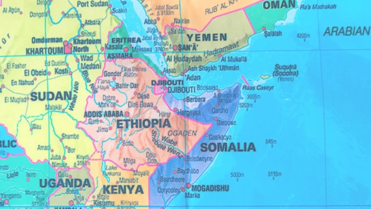 تحالف 