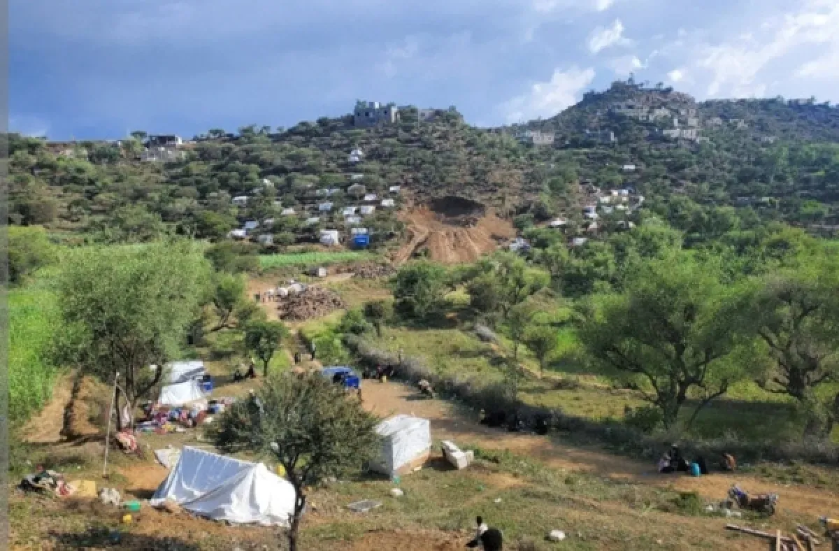 Houthi Shelling Kills Woman and Injures Son in Taiz Displacement Camp