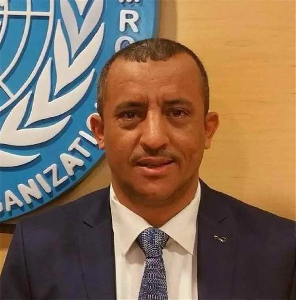 Houthi Militia Refers UN Health Official to Specialized Criminal Prosecution